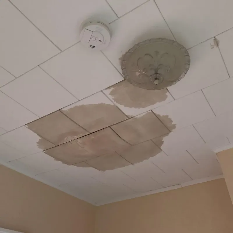Ceiling Water Damage Repair in Boca Pointe, FL